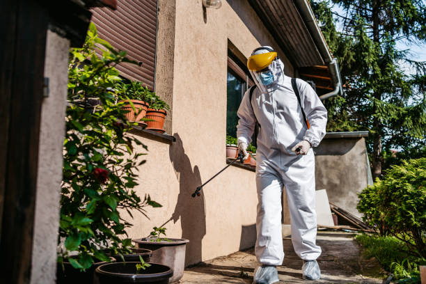 Best Pest Control Near Me in Bradley, IL