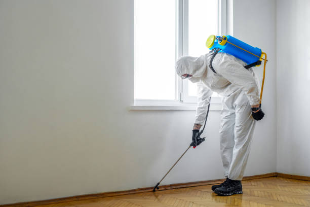 Professional Pest Control in Bradley, IL